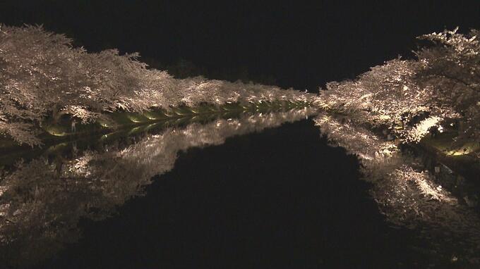 「今までで一番きれいです」春真っ盛り『桜一色』　サクラの名所の「逆さ桜」・「花吹雪」・「花筏」【画像多数】　|　青森のニュース│ATV NEWS│青森テレビ
