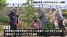 豊臣秀吉が花見したという桜のクローン　静岡の社会奉仕団体が牧野植物園駐車場に植樹【高知】　|　高知のニュース・天気｜KUTV NEWS | KUTVテレビ高知