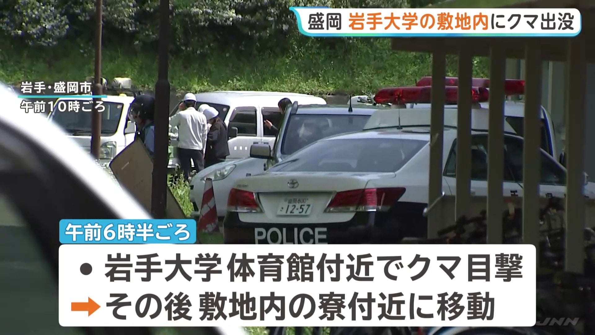 岩手大学でクマ出没 敷地内で目撃→学生寮付近に移動か 寮生に外出自粛