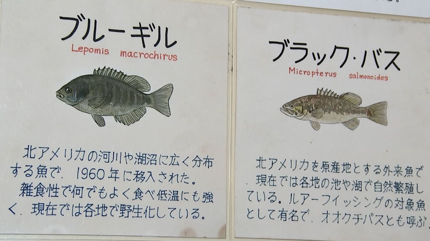 img_1682458e075f81420f377e8aa8