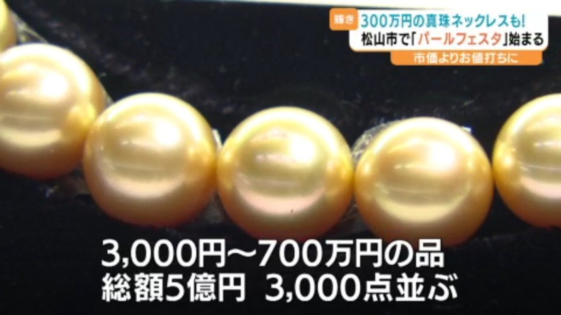 総額5億円の真珠アクセサリーがズラリ 「えひめパールフェスタ2025