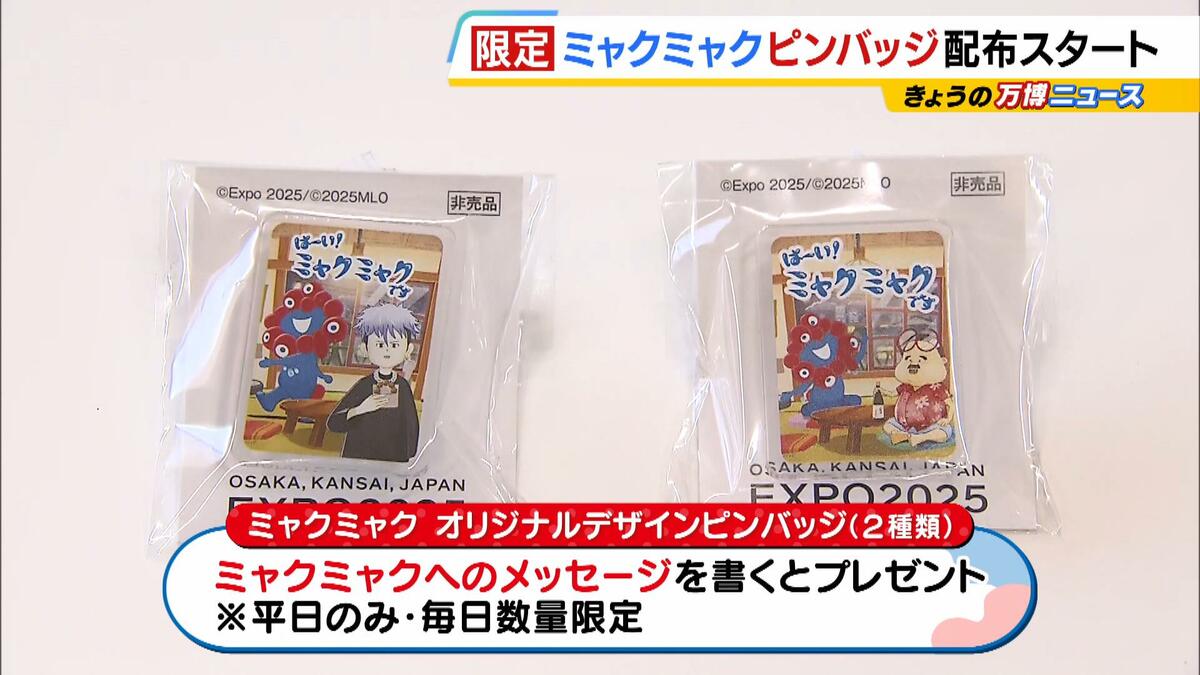 新品】JR東日本·限定品3点セット(ト―トバック·ピンバッチ