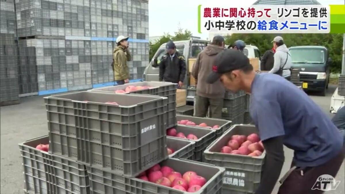 小中学校の学校給食に使われる「リンゴ」880kgを無償提供 去年よりも