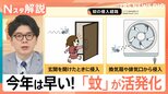 いつの間に?なぜか蚊が家の中に…覚えておきたい“網戸の位置”と“就寝中にやってくる”蚊対策【Nスタ解説】|TBS NEWS DIG