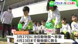 池田動物園が「花いっぱいになりますように」園児がチューリップ約7,000本分の球根を1か月かけ育てます【岡山】|TBS NEWS DIG
