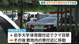 岩手大学でクマ出没 敷地内で目撃→学生寮付近に移動か 寮生に外出自粛要請・一部の授業を休講|TBS NEWS DIG