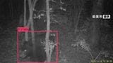 動物園近くのカメラに“クマ” 体長1メートル以上か 石川・能美市で目撃相次ぐ　|　石川県のニュース｜MRO北陸放送