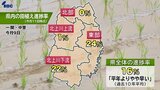 県内16％で田植え(5月11日時点)　平年よりやや早いペース　宮古市など東部地帯が24％と最も進む　適期は25日まで　岩手|TBS NEWS DIG