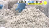 広島湾の海の幸を知って　夏休みの小学生がシラス加工場を見学「すごく甘い」|TBS NEWS DIG