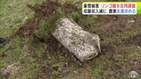 「悲しい・寂しい部分は大きい…」“豪雪”の被害受けたリンゴ園を合同調査　幹が割れて伐採した園地も…　5月上旬を目途に青森県が被害のまとめを発表　必要な対策を検討へ|TBS NEWS DIG
