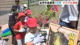 “土砂が崩れにくい山を”紀伊半島豪雨から１５年…災害現場で小学生が植樹　和歌山・田辺市|TBS NEWS DIG
