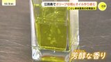 「トマトの香りが際立つようなオイル」「過去最高の量が穫れるのでは？」　オリーブ収穫とオリーブオイル作り始まる　広島県江田島市|TBS NEWS DIG