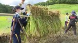 「塩むすびにして食べたい…」日本の棚田百選「よこね田んぼ」で小学生が稲刈り、慣れた手つきの作業の一方でぬかるみにハマって転倒する子どもも　|　SBC NEWS | 長野のニュース | SBC信越放送