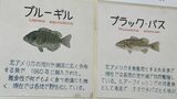 新屋島水族館 大規模改修工事のため4月7日から一時休館へ 2027年春ごろリニューアルオープン【香川】|TBS NEWS DIG