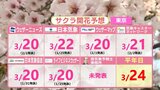 【2024桜開花予想】６つの民間気象会社予想を比較　全国で “最も早い” 最多は福岡の４社　東京・高知・広島１社ずつ　北日本の予想はバラツキ大きく　札幌は４月中に開花か　|　RCC NEWS | 広島ニュース | RCC中国放送