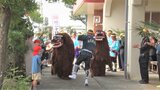 獅子が厄を払うパツカショウガツ 沖縄 宮古島 | 沖縄のニュース|RBC 琉球放送