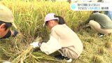 「食べて笑顔になってほしい！」子どもたちが“いちから育てた”稲を収穫|TBS NEWS DIG