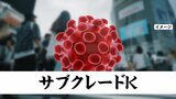 新たな変異ウイルス「サブクレードK」　インフルエンザ今年の流行は10年間で最大規模の可能性|TBS NEWS DIG