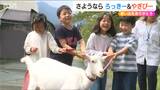 『ろっきー』『やぎぴー』バイバイ! たくさんの思い出とともに…小学校でヤギのお別れ会 新潟・妙高市|TBS NEWS DIG