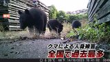 クマ90頭を駆除…富山県にも苦情電話が殺到「かわいそう」「殺さないで」30分以上繰り返す人も|TBS NEWS DIG