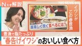 1匹なんと38円？！“春を告げる”イワシが日本海側で豊漁に！　この春おすすめのイワシの食べ方は？【Nスタ解説】|TBS NEWS DIG
