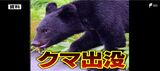 「大きいクマを見た」住宅街近くで目撃情報　市の職員が周辺のパトロール実施=静岡・富士市　|　静岡のニュース | SBSNEWS | 静岡放送