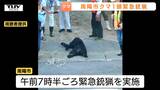 クマは“川を泳いでいた” けさ緊急銃猟で1頭駆除「今までは他人事…身近に来たという感じ」 県内各地きのう~きょう目撃件数20件超(山形) | 山形のニュース│TUYテレビユー山形