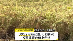 コメ価格　9週連続値上がり　5キロ当たり3952円　去年同時期に比べ1.9倍　備蓄米放出で価格が落ち着くかが焦点| TBS CROSS DIG with Bloomberg