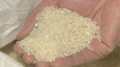 価格高止まりのコメ　輸入米活用拡大に江藤大臣「国産米の需給に影響与えない基本は変わらない」否定的な考え示す| TBS CROSS DIG with Bloomberg