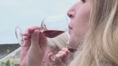 EU委がWTOに異議申し立て　中国がEU産ブランデーに追加関税　中国製電気自動車への追加関税に対抗か| TBS CROSS DIG with Bloomberg