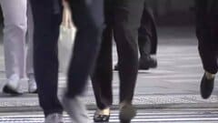 ジョブ型人事指針を読む（上）－先行20社の事例より：ジョブ型人事の基本と目的| TBS CROSS DIG with Bloomberg