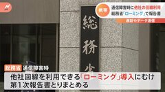 “通信障害”発生時、他社回線へのローミング可能に　一般の通話やデータ通信も対象　総務省が報告書とりまとめ| TBS CROSS DIG with Bloomberg