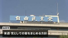 政治資金規正法改正へ　自民党も党の案を来週とりまとめの方針| TBS CROSS DIG with Bloomberg