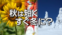 快適な秋は短くすぐ冬に?今年も「四季」→「二季」か 22日冬の長期予報発表前に予報資料から見えるサインとは tbc気象台|TBS NEWS DIG