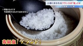 土俵にまかれる世界最高峰フランスの塩「ゲランド」 今夜(13日)から大相撲パリ公演 「どうすれば力士になれますか?」公演前には地元小学生と相撲稽古も…|TBS NEWS DIG
