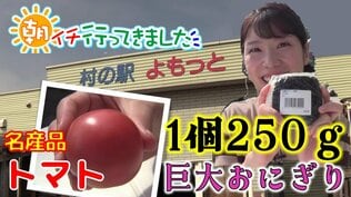 1個250グラムの“巨大おにぎり”10分で売り切れる人気商品!トマトが名産・蓬田村の産直施設で旬探し【わっち!!朝イチ行ってきました】8月26日放送回 | 青森のニュース│ATV NEWS│青森テレビ