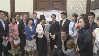 「待っててよかった」空襲被害の救済法案 野党議員らが提出　対象は約3000人 太平洋戦争での空襲などで障害が残った民間人に一時金50万円支給| TBS CROSS DIG with Bloomberg
