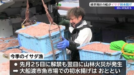 三陸沖の春の風物詩」イサダ漁 山林火災の影響を強く受けた大船渡市