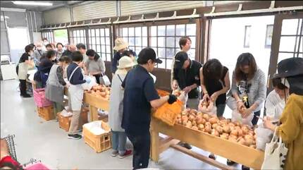 新タマネギ500円で“袋に詰め放題” 2日間で3トン用意も 初日は1時間で