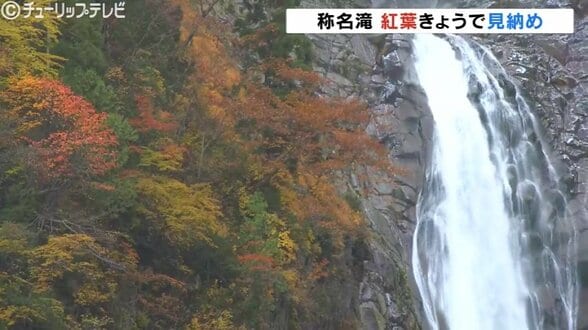 落差日本一の称名滝 “さわやか” な水しぶき、紅葉と白滝のコントラストも…今シーズンきょうで見納め 富山・立山町 | 富山のニュース|天気・防災|チューリップテレビ