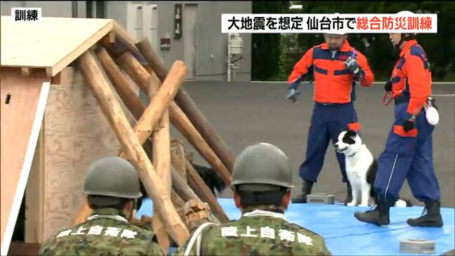 宮城県沖地震から47年 仙台で総合防災訓練 救助・ライフライン対応で救助犬も出動|TBS NEWS DIG