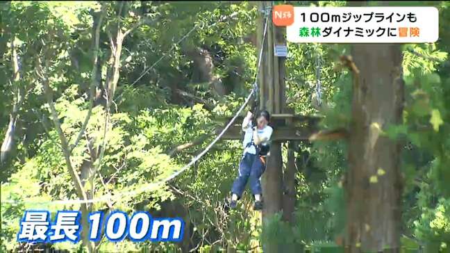 100mのジップライン「フォレストアドベンチャー・塩竈」8月1日オープン「日なたと気温が4~5℃違う」|TBS NEWS DIG