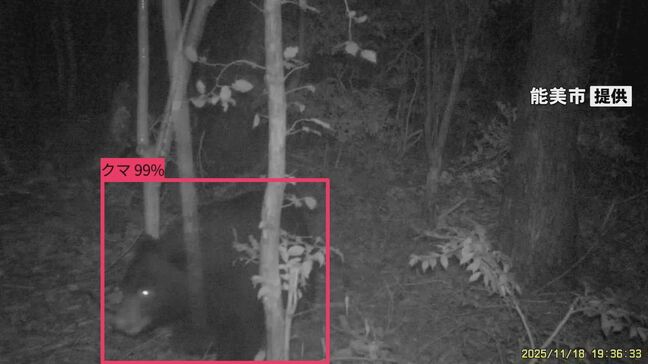 動物園近くのカメラに“クマ” 体長1メートル以上か 石川・能美市で目撃相次ぐ|TBS NEWS DIG