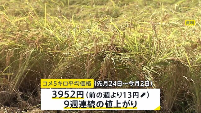 コメ価格　9週連続値上がり　5キロ当たり3952円　去年同時期に比べ1.9倍　備蓄米放出で価格が落ち着くかが焦点|TBS NEWS DIG