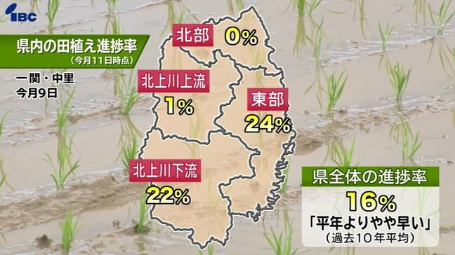 県内16%で田植え(5月11日時点) 平年よりやや早いペース 宮古市など東部地帯が24%と最も進む 適期は25日まで 岩手|TBS NEWS DIG