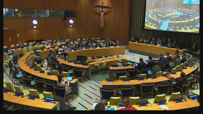 国連安保理で日本主催の地雷対策強化を求める会合を開催|TBS NEWS DIG