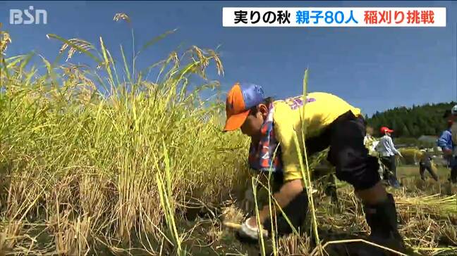 「力がいるけど 切れた時がすごく気持ちいい」親子80人が昔ながらの“稲刈り”に挑戦！ 新潟・胎内市|TBS NEWS DIG