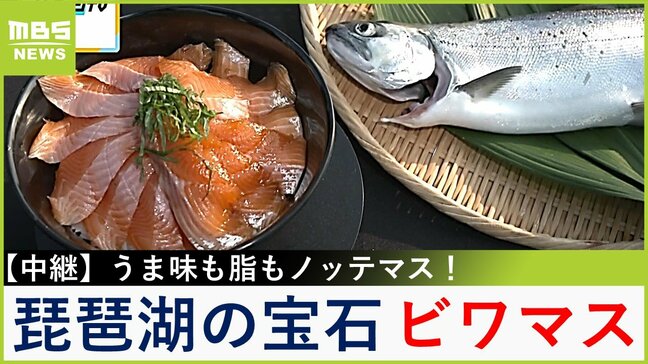 【中継】トロにも負けない上質な脂!"琵琶湖の宝石"ビワマスでつくる絶品丼 滋賀・米原市【川地洋平の最旬!丼マン】|TBS NEWS DIG