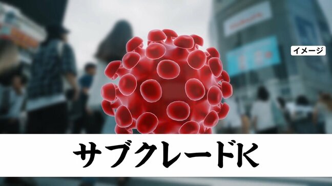 新たな変異ウイルス「サブクレードK」 インフルエンザ今年の流行は10年間で最大規模の可能性|TBS NEWS DIG