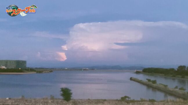 「まるでラピュタの竜の巣」雲の中に何度も稲光が…鳥取で見えた”巨大積乱雲” 気象台に聞くと、正体は…兵庫で記録的大雨を降らせた積乱雲か|TBS NEWS DIG